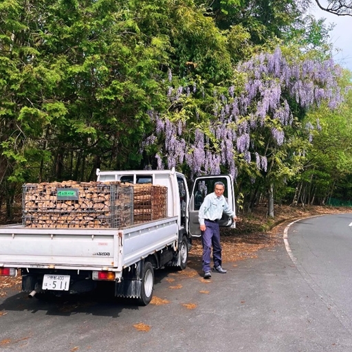 藤の花が盛りです