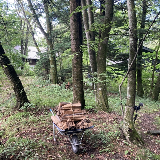 今年も行ってきました