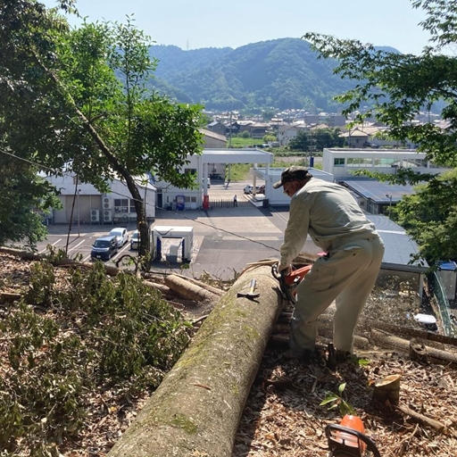 山仕事